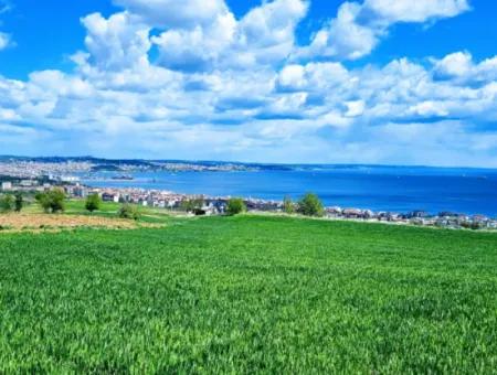 Acil Satılık Tekirdağ Barbarosta 40 Dairelik Full Deniz Manzaralı Konut İmarlı Arazi