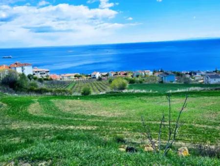 Tekirdağ Barbarosta Acil Satılık 42 Dairelik Kooparetif Site Yapımına Uygun Full Deniz Manzaralı Konut İmarlı Arazi