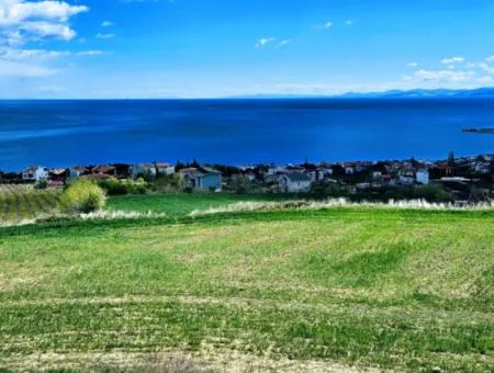 Tekirdağ Barbarosta Acil Satılık 45 Dairelik Kooparetif Site Yapımına Uygun Full Deniz Manzaralı Konut İmarlı Arazi