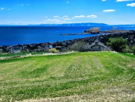Tekirdağ Barbarosta Acil Satılık 45 Dairelik Kooparetif Site Yapımına Uygun Full Deniz Manzaralı Konut İmarlı Arazi