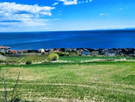 Tekirdağ Barbarosta Acil Satılık 45 Dairelik Kooparetif Site Yapımına Uygun Full Deniz Manzaralı Konut İmarlı Arazi