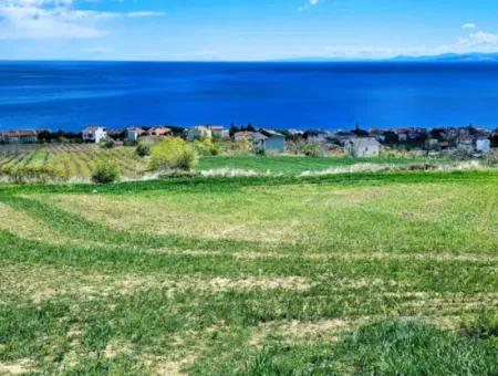 Tekirdağ Barbarosta Acil Satılık 45 Dairelik Kooparetif Site Yapımına Uygun Full Deniz Manzaralı Konut İmarlı Arazi