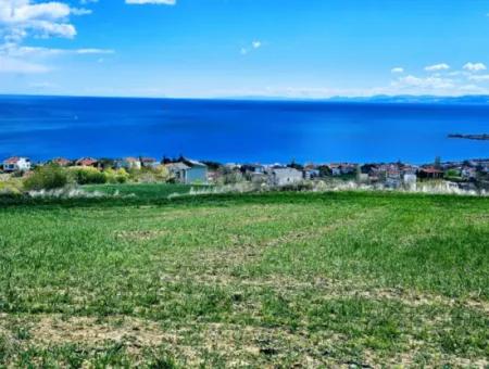 Tekirdağ Barbarosta Acil Satılık 45 Dairelik Kooparetif Site Yapımına Uygun Full Deniz Manzaralı Konut İmarlı Arazi