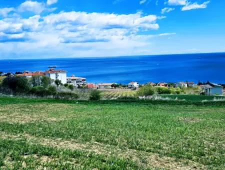 Tekirdağ Barbarosta Acil Satılık 45 Dairelik Kooparetif Site Yapımına Uygun Full Deniz Manzaralı Konut İmarlı Arazi