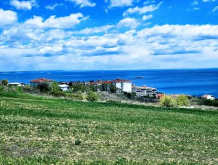 Tekirdağ Barbarosta Acil Satılık 45 Dairelik Kooparetif Site Yapımına Uygun Full Deniz Manzaralı Konut İmarlı Arazi