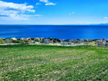 Tekirdağ Barbarosta Acil Satılık 45 Dairelik Kooparetif Site Yapımına Uygun Full Deniz Manzaralı Konut İmarlı Arazi