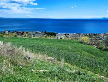 Tekirdağ Barbarosta Acil Satılık 45 Dairelik Kooparetif Site Yapımına Uygun Full Deniz Manzaralı Konut İmarlı Arazi