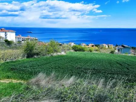 Tekirdağ Barbarosta Acil Satılık 45 Dairelik Kooparetif Site Yapımına Uygun Full Deniz Manzaralı Konut İmarlı Arazi