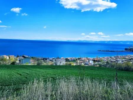 Tekirdağ Barbarosta Acil Satılık 45 Dairelik Kooparetif Site Yapımına Uygun Full Deniz Manzaralı Konut İmarlı Arazi