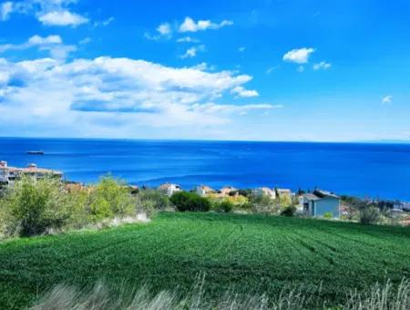 Tekirdağ Barbarosta Acil Satılık 45 Dairelik Kooparetif Site Yapımına Uygun Full Deniz Manzaralı Konut İmarlı Arazi