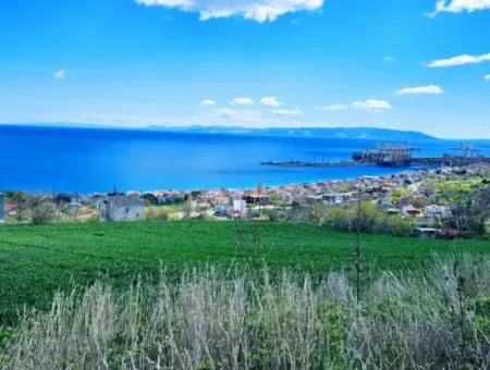 Tekirdağ Barbarosta Acil Satılık 45 Dairelik Kooparetif Site Yapımına Uygun Full Deniz Manzaralı Konut İmarlı Arazi