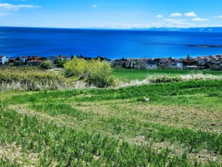 Tekirdağ Barbarosta Acil Satılık 45 Dairelik Kooparetif Site Yapımına Uygun Full Deniz Manzaralı Konut İmarlı Arazi