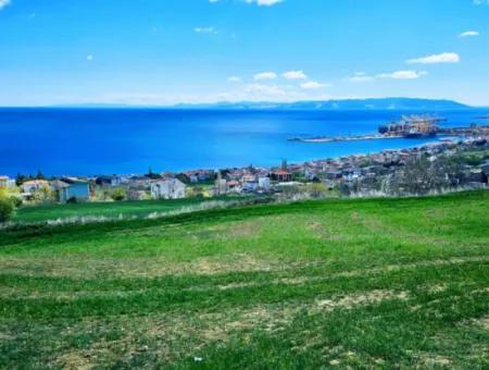 Tekirdağ Barbarosta Acil Satılık 45 Dairelik Kooparetif Site Yapımına Uygun Full Deniz Manzaralı Konut İmarlı Arazi