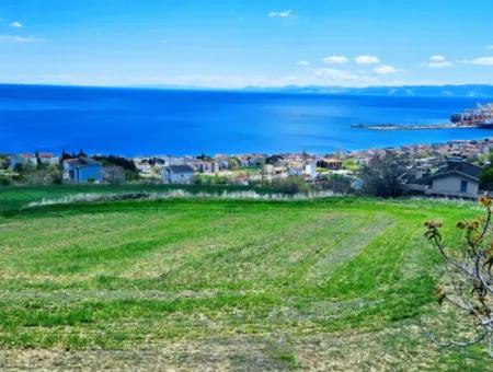 Tekirdağ Barbarosta Acil Satılık 45 Dairelik Kooparetif Site Yapımına Uygun Full Deniz Manzaralı Konut İmarlı Arazi