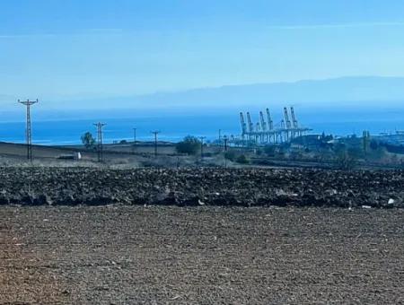 Tekirdağ Barbaros'ta Bulunan Bu Acil Satılık Fabrika Arazisi, 5.500 Metrekarelik Geniş Bir Alana Sahiptir