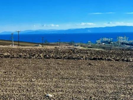 Tekirdağ Barbaros'ta Bulunan Bu Acil Satılık Fabrika Arazisi, 5.500 Metrekarelik Geniş Bir Alana Sahiptir
