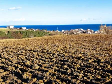 Tekirdağ Barbarosta Acil Satılık Full Deniz Manzaralı Konut İmarlı Tarla