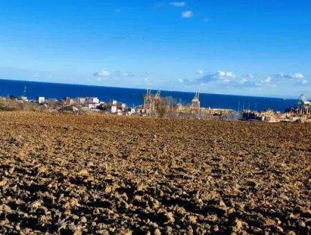 Tekirdağ Barbarosta Acil Satılık Full Deniz Manzaralı Konut İmarlı Tarla