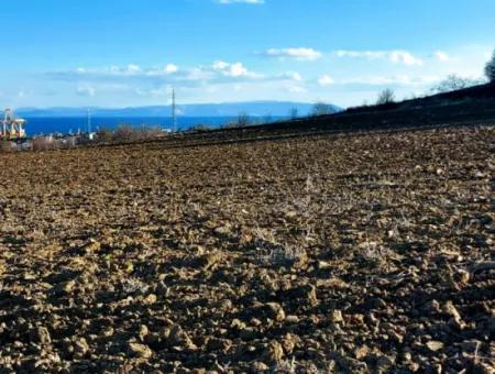 Tekirdağ Barbarosta Acil Satılık Full Deniz Manzaralı Konut İmarlı Tarla