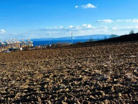 Tekirdağ Barbarosta Acil Satılık Full Deniz Manzaralı Konut İmarlı Tarla