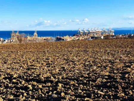 Tekirdağ Barbarosta Acil Satılık Full Deniz Manzaralı Konut İmarlı Tarla