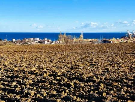 Tekirdağ Barbarosta Acil Satılık Full Deniz Manzaralı Konut İmarlı Tarla