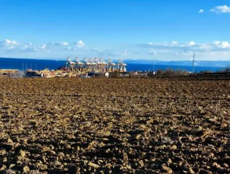 Tekirdağ Barbarosta Acil Satılık Full Deniz Manzaralı Konut İmarlı Tarla
