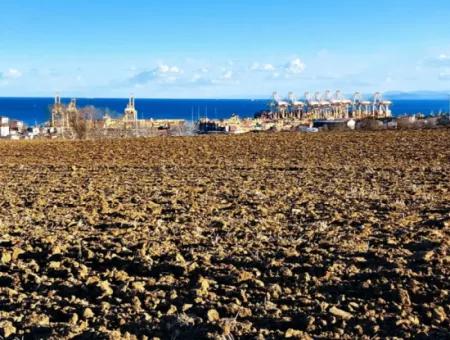 Tekirdağ Barbarosta Acil Satılık Full Deniz Manzaralı Konut İmarlı Tarla