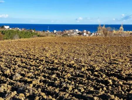 Tekirdağ Barbarosta Acil Satılık Full Deniz Manzaralı Konut İmarlı Tarla