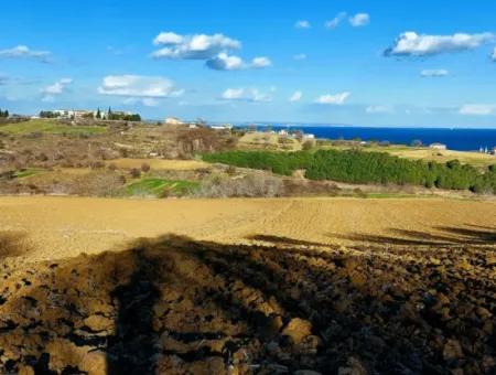 Tekirdağ'ın Süleymanpaşa Barbaros Mevkisinde Bulunan Eşsiz 17.800 M2 Konut İmarlı Arsa