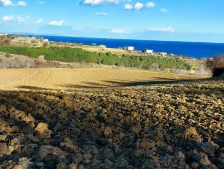 Tekirdağ Barbarosta Acil Satılık Full Deniz Manzaralı Konut İmarlı Tarla
