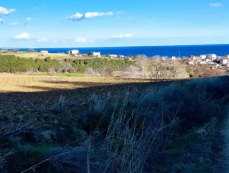 Tekirdağ Barbarosta Acil Satılık Full Deniz Manzaralı Konut İmarlı Tarla