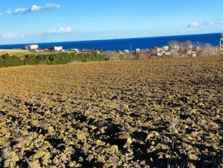 Tekirdağ'ın Süleymanpaşa Barbaros Mevkisinde Bulunan Eşsiz 17.800 M2 Konut İmarlı Arsa