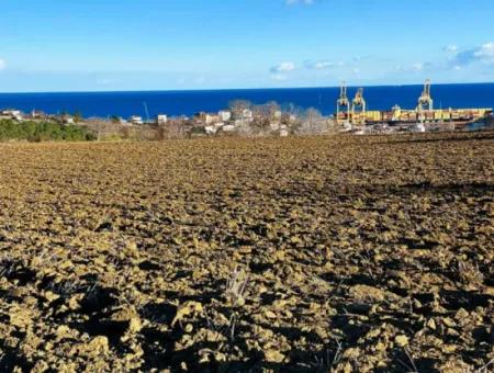 Tekirdağ Barbarosta Acil Satılık Full Deniz Manzaralı Konut İmarlı Tarla