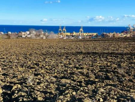 Tekirdağ Barbarosta Acil Satılık Full Deniz Manzaralı Konut İmarlı Tarla
