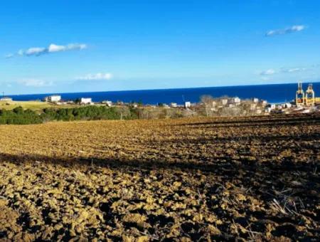Tekirdağ Barbarosta Acil Satılık Full Deniz Manzaralı Konut İmarlı Tarla