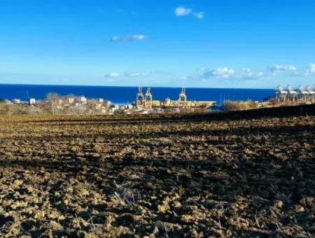 Tekirdağ Barbarosta Acil Satılık Full Deniz Manzaralı Konut İmarlı Tarla
