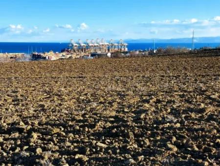 Tekirdağ Barbarosta Acil Satılık Full Deniz Manzaralı Konut İmarlı Tarla