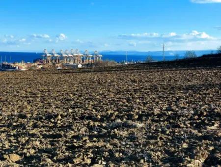 Tekirdağ Barbarosta Acil Satılık Full Deniz Manzaralı Konut İmarlı Tarla