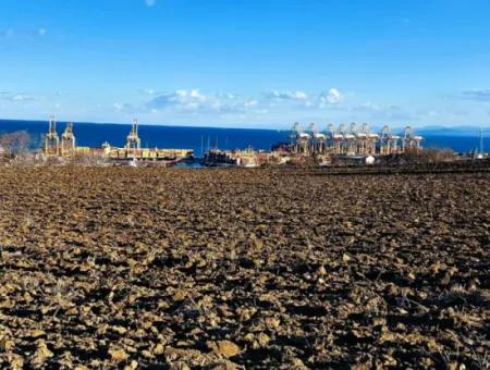 Tekirdağ Barbarosta Acil Satılık Full Deniz Manzaralı Konut İmarlı Tarla