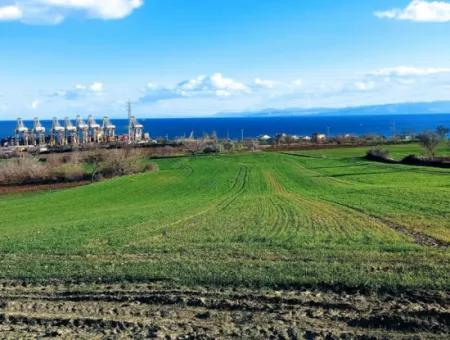 Tekirdağ Barbaros Asyaport Limanına Yakın 17 980 M2 Satılık Tarla