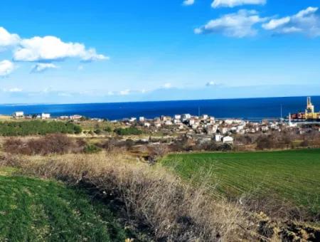 Tekirdağ Barbaros Asyaport Limanına Yakın 17 980 M2 Satılık Tarla