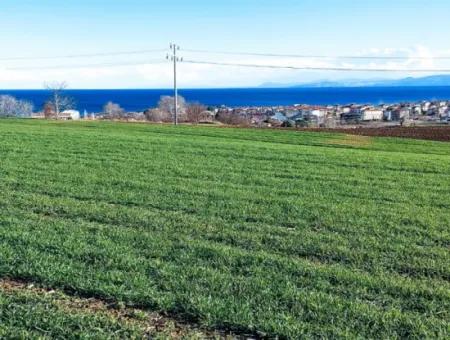 Tekirdağ Süleymanpaşa Barbaros'ta Bulunan Bu 11.100 M2 Konut İmarlı Arazi, Harika Bir Konumda Yer Alıyor.