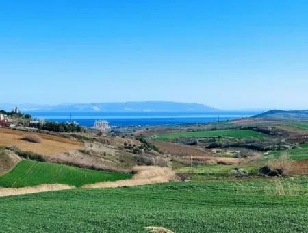 Tekirdağ'ın Nusuratlı Mevkisinde 19.500 Metrekarelik Ticari Ve Sanayi Alanında Satılık Tarla