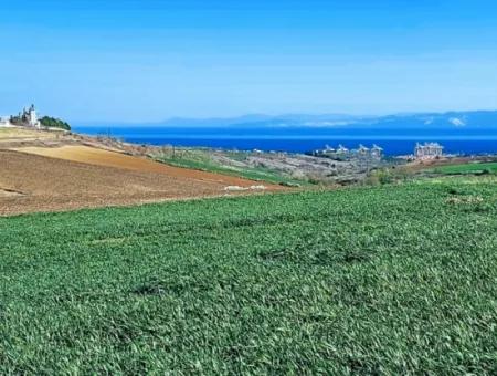 Tekirdağ'ın Nusuratlı Mevkisinde 19.500 Metrekarelik Ticari Ve Sanayi Alanında Satılık Tarla