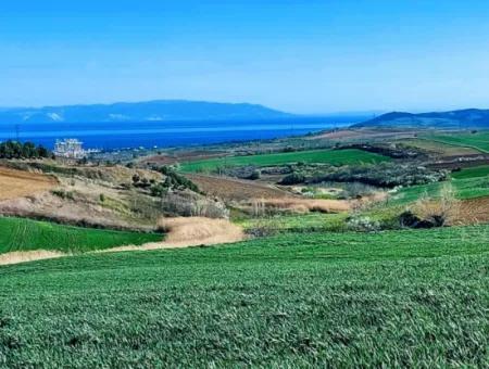 Tekirdağ'ın Nusuratlı Mevkisinde 19.500 Metrekarelik Ticari Ve Sanayi Alanında Satılık Tarla