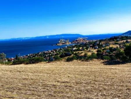Tekirdağ Süleymanpaşa Barbaros'ta 8.100 M2'Lik Geniş Bir Alana Sahip Ve Muhteşem Deniz Manzarasına Hakim Bir Konumda Satılık Arazi
