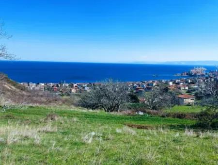Tekirdağ Süleymanpaşa Barbaros Mahallesinde Muhteşem Deniz Ve Doğa Manzaralı Satılık 532 M2 Köşe Arsa