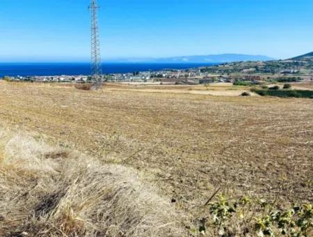 Tekirdağ Barbaros'ta Bulunan 21,900 M2 Arsa, Asyaport Limanı Mevcut İmar Planı İçinde Yer Almaktadır