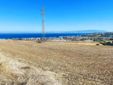 Asyaport Limanı Mevcut İmar Planı İçinde ( Depolama Alanı )